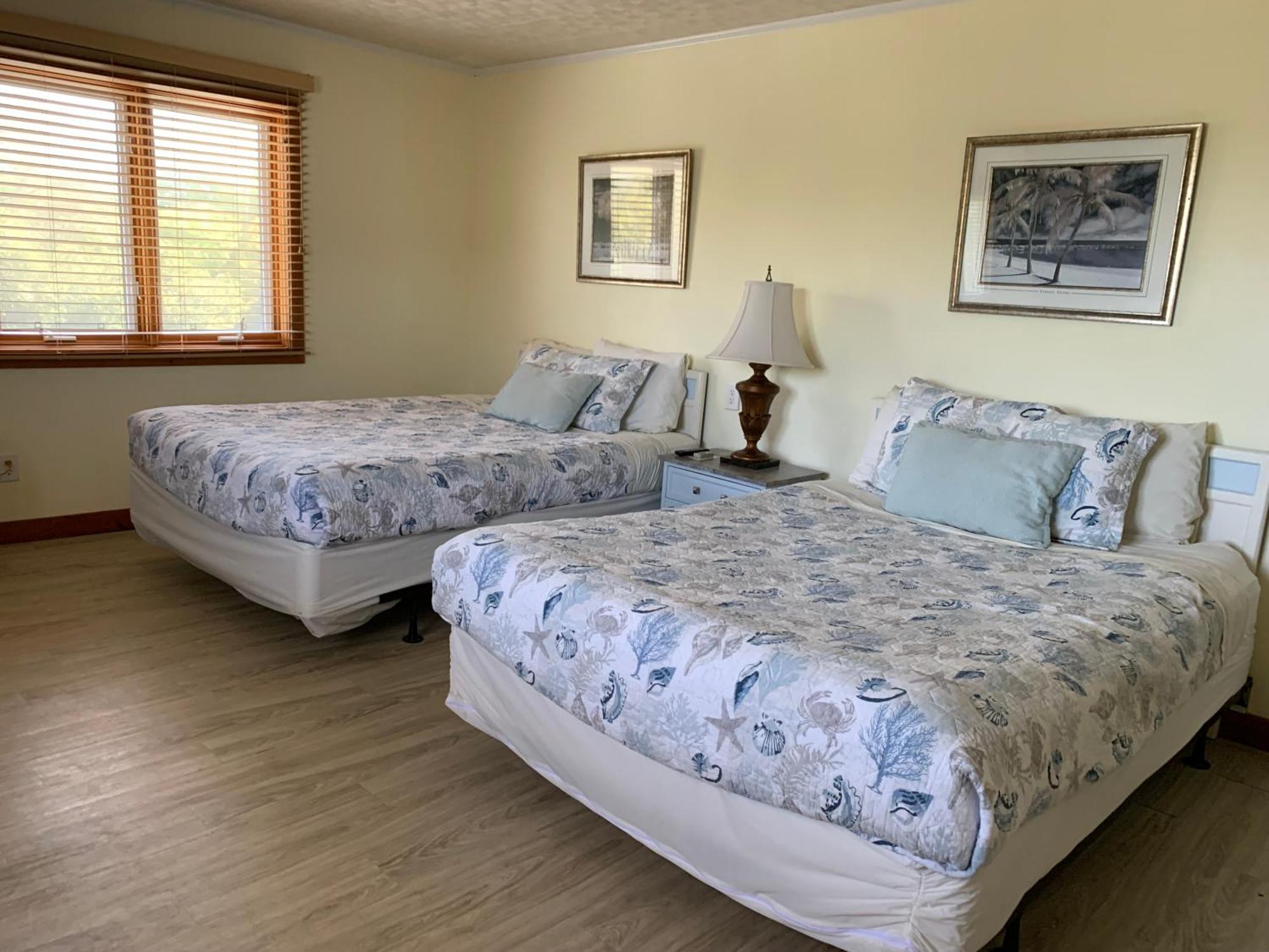 Cape Pines Motel บักซ์ตัน ภายนอก รูปภาพ