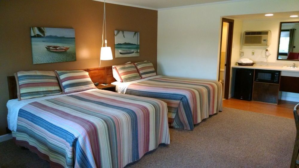 Cape Pines Motel บักซ์ตัน ภายนอก รูปภาพ